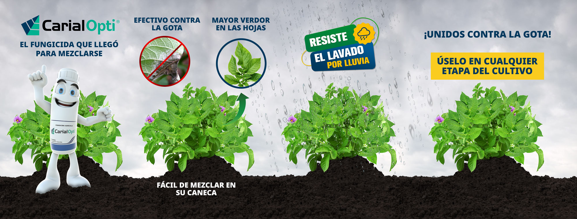 Banner Carial Opti®